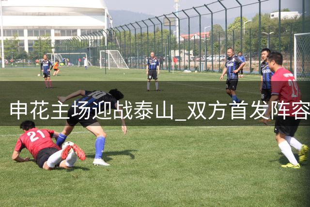 申花主场迎战泰山 双方首发阵容出炉